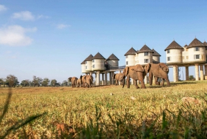 4 giorni di safari Tsavo Est e Tsavo Ovest da Mombasa
