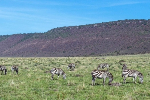 4 Days wildebeest migration masai mara + village visit