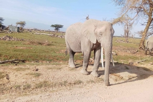 4Days Aberdare & Samburu luxury Safari -4x4 LandCruiser Jeep