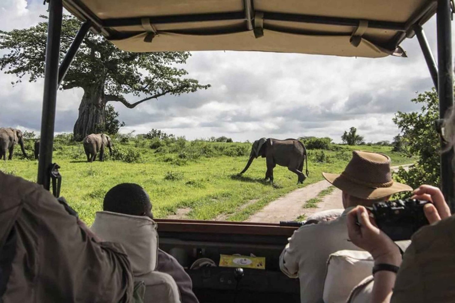 Safari de 4 dias em Masai Mara e Lake Nakuru em Land Cruiser 4x4