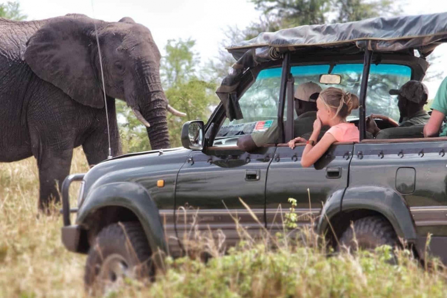 5-Day Amboseli and Tsavo West - Luxury Jeep Safari