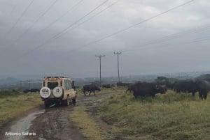 5-dagars lyxresa till Amboseli, Lake Naivasha och Masai Mara