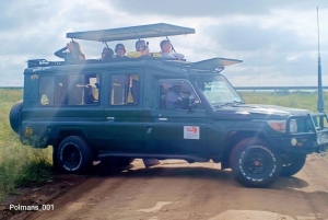 5-dagars safari i Amboseli nationalpark, Taita Hills och Tsavo East