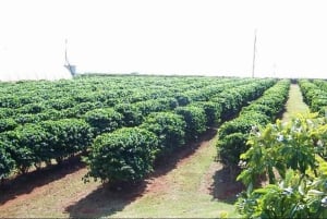 From Nairobi: 5-Day Central Kenya Eco-Tour Experience