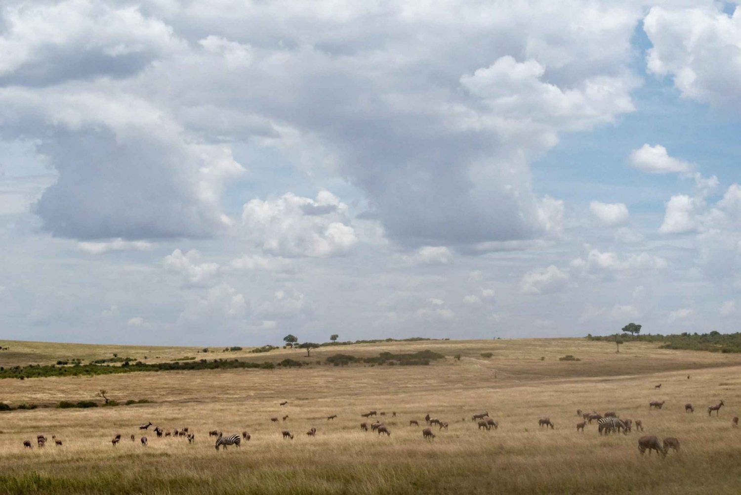 5-Day Masai Mara Fly-in Luxury Safari