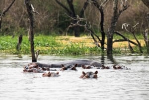 5-daagse huwelijkssafari in Masai Mara, Lake Nakuru en Naivasha