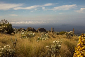 5-dages Mount Kenya: Chogoria-Narumoro Route Adventurous Trek.
