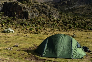 5-dages Mount Kenya: Chogoria-Narumoro Route Adventurous Trek.