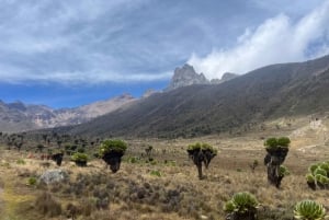 Nairobi: Trekking di 5 giorni sul Monte Kenya con pasti e guida