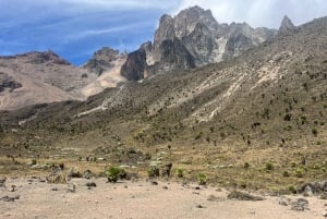 Nairobi: Trekking di 5 giorni sul Monte Kenya con pasti e guida