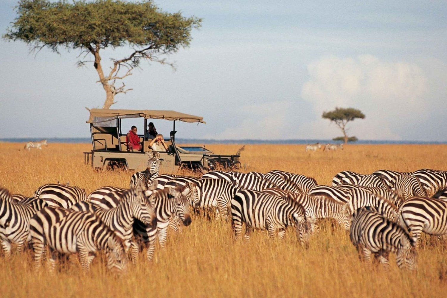 5 días y 4 noches de safari a Samburu y Ol Pejeta Conservancy