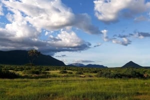 5-дневное эксклюзивное сафари по главным достопримечательностям Кении