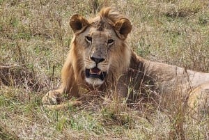 ケニアプライベートサファリ5日間 | マサイマラ、ナクル湖、ナイヴァシャ