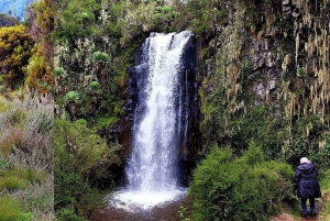 5 Tage, Masai Mara, Nakuru-See & Amboseli-Park – Ultimative Safari