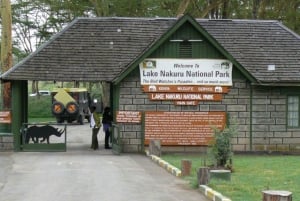 5 dagar, Masai Mara, Lake Nakuru & Amboseli Park Ultimate Safari