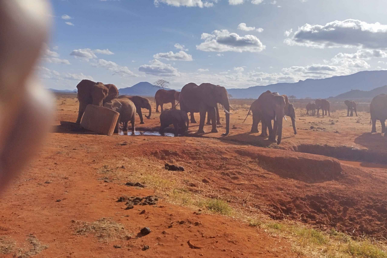 5 Days Safari Olpejeta, Nakuru + Masai Mara