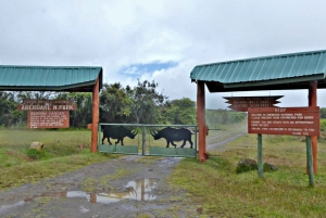 5 Days safari to Maasai Mara,Lake Nakuru and Aberdare Park