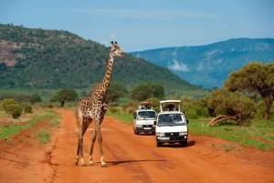 5 days safari to Tsavo East, West & Amboseli from Mombasa