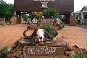 5 giorni di safari a Tsavo East, West e Amboseli da Mombasa