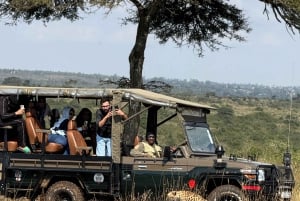 Safari guiado de 4x4 de 5 horas no Parque Nacional de Nairobi com recolha gratuita