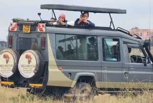 Safari guiado de 4x4 de 5 horas no Parque Nacional de Nairobi com recolha gratuita