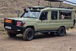 Safari guiado de 4x4 de 5 horas no Parque Nacional de Nairobi com recolha gratuita