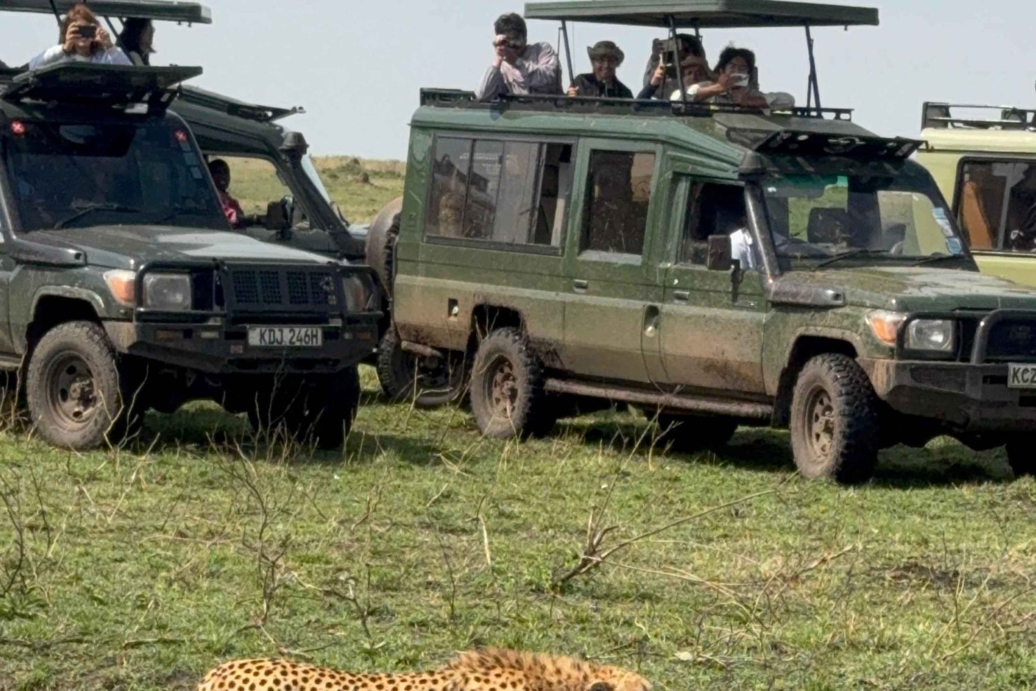 5-Hours Nairobi National Park Game Drive 4x4 Vehicle
