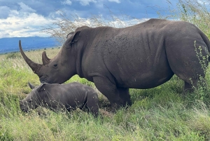 5-Hours Nairobi National Park Game Drive 4x4 Vehicle
