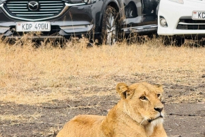 5-Hours Nairobi National Park Game Drive 4x4 Vehicle