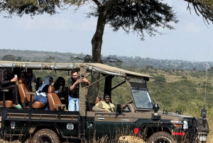 5-Hours Nairobi National Park Game Drive 4x4 Vehicle