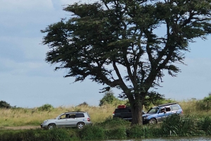 5-Hours Nairobi National Park Game Drive 4x4 Vehicle
