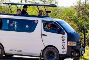 Safari guiado de 4x4 de 5 horas no Parque Nacional de Nairobi com recolha gratuita