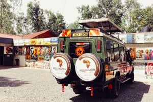 Safari guiado de 4x4 de 5 horas no Parque Nacional de Nairobi com recolha gratuita