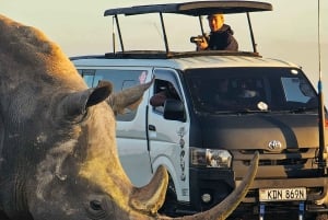 Safari guiado de 4x4 de 5 horas no Parque Nacional de Nairobi com recolha gratuita