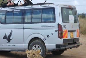 Safari guiado de 4x4 de 5 horas no Parque Nacional de Nairobi com recolha gratuita