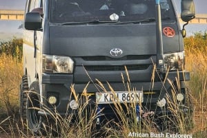 5 Hours Nairobi National Park Guided Tour with Free Pickup