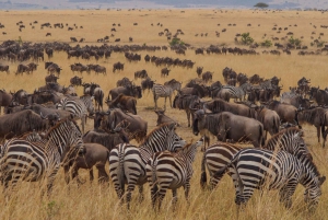 5Day Amboseli, Lake Naivasha & Mara - Mid-Range Jeep Safari