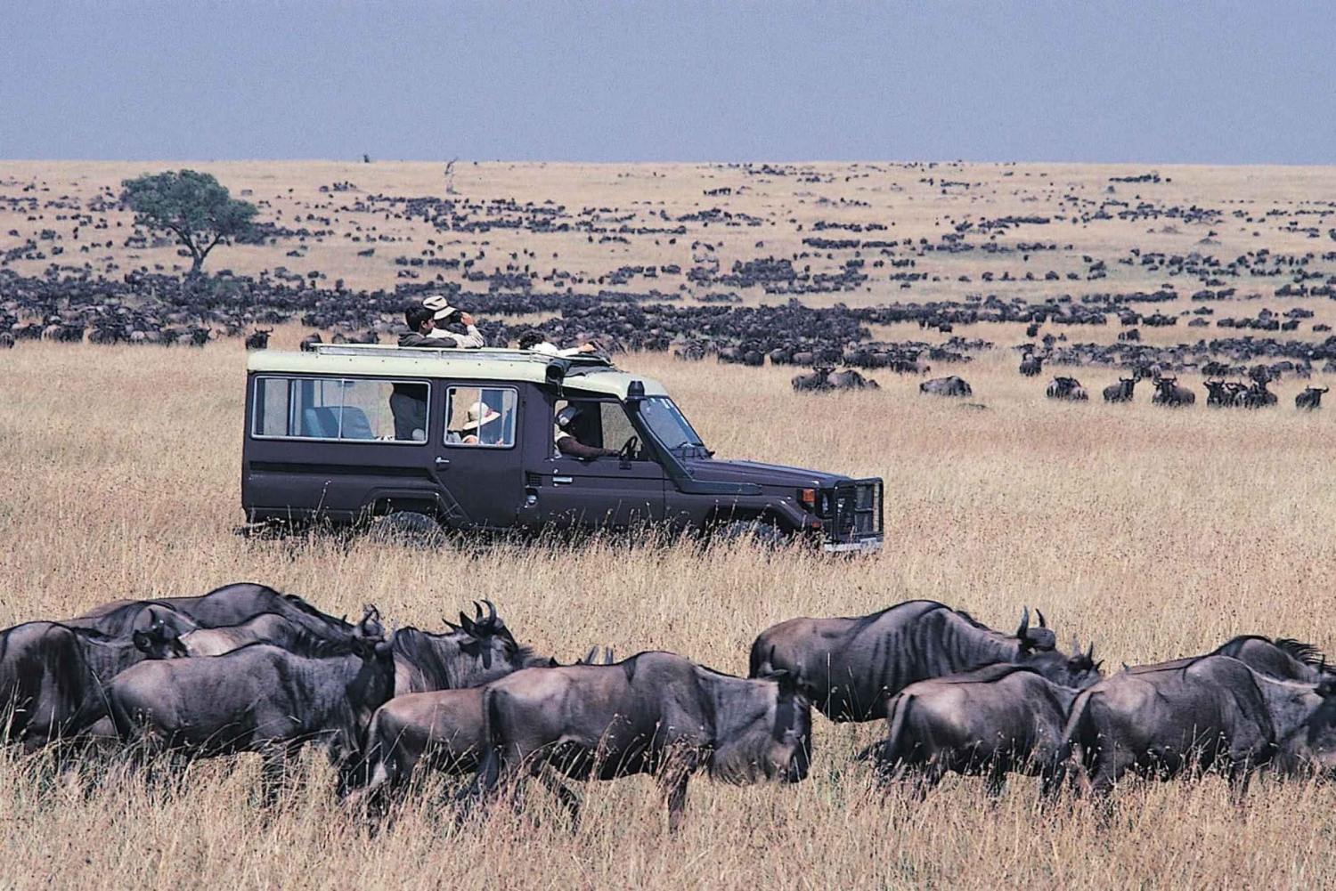 Safari di 5 giorni sulla migrazione degli gnu in jeep 4x4 Land Cruiser