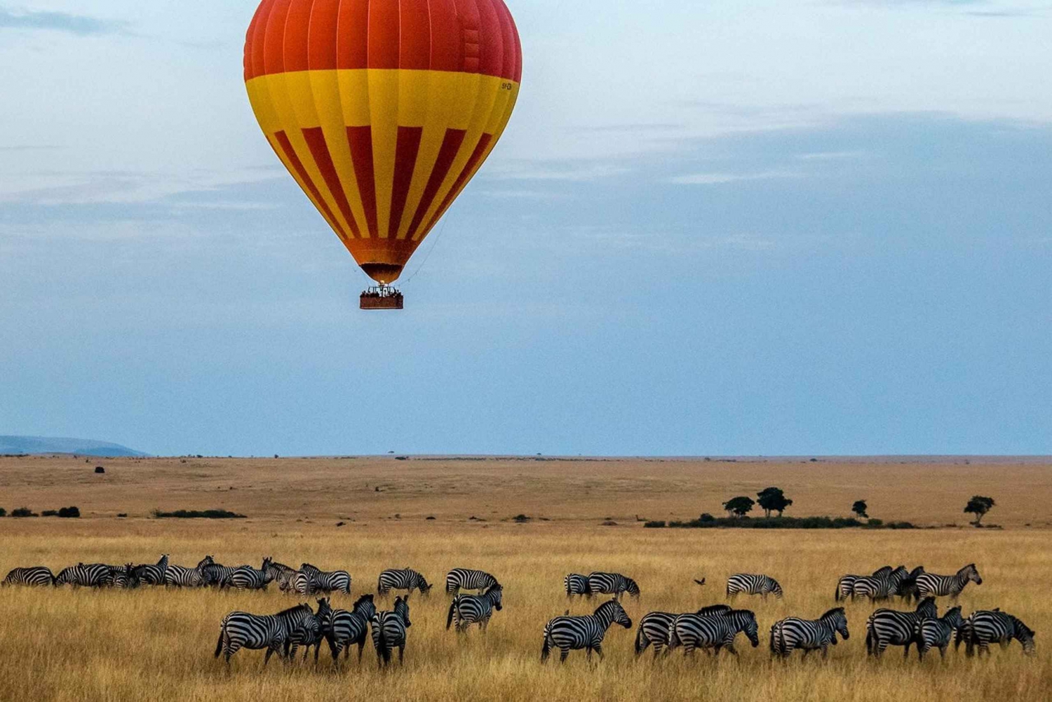 6 dages Kenya-safari fra Nairobi.