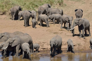6 Day Private Tour in Samburu, Nakuru and Maasai Mara