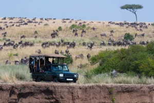 6 dager med Amboseli, Naivasha-sjøen og Masai Mara Safari-opplevelse