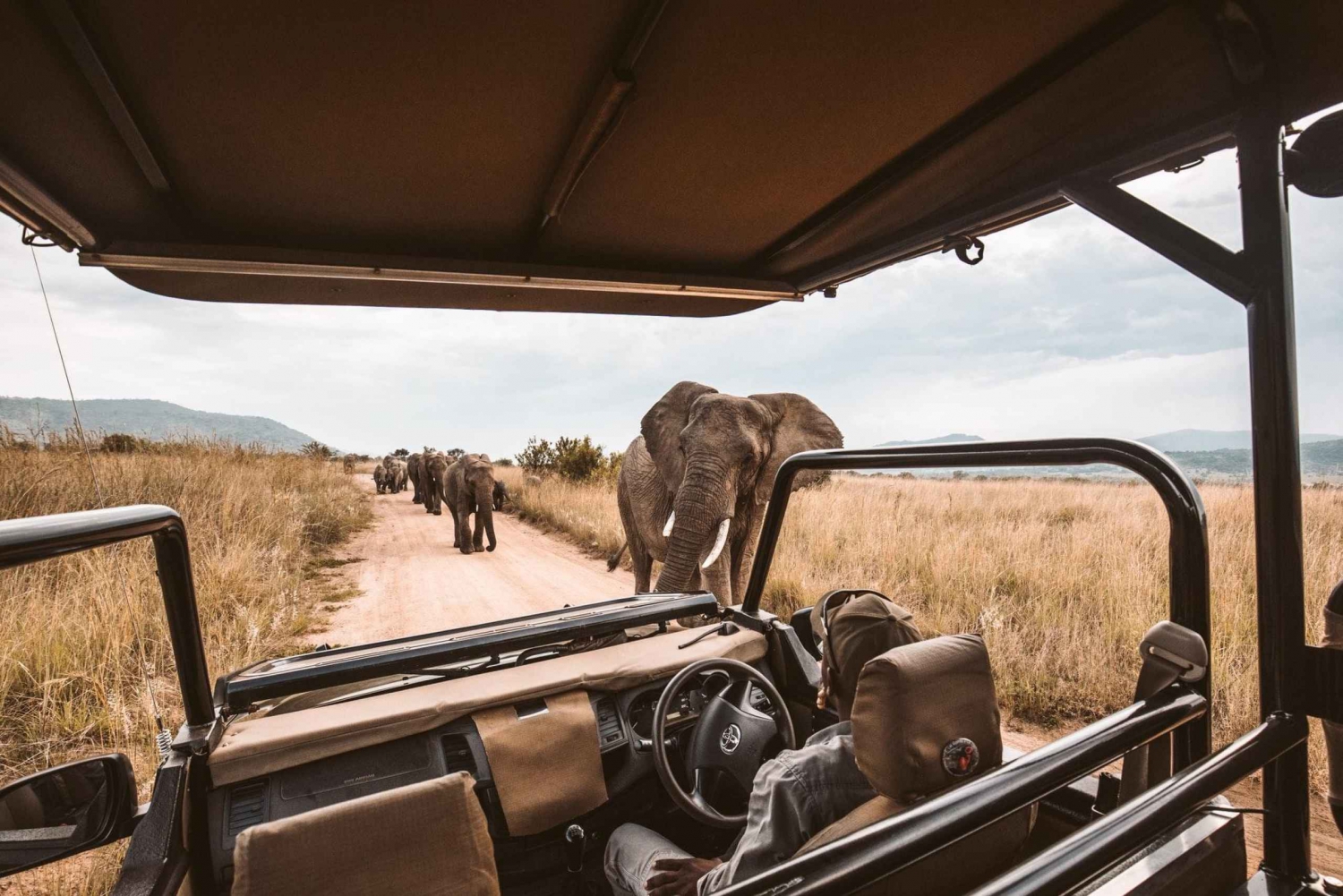 6 dages kombineret dyrelivssafari i Kenya og Tanzania