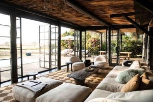 6-dniowe safari w Masai Mara, Lake Nakuru i Amboseli.