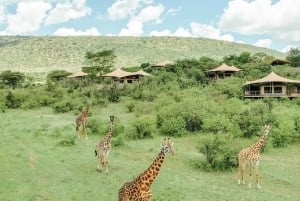 7-Day Kenya and Tanzania Safari Tour