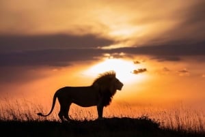 7-Day Kenya and Tanzania Safari Tour