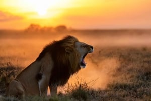 7-Day Kenya and Tanzania Safari Tour