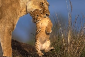 7-Day Kenya and Tanzania Safari Tour