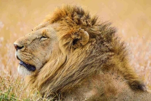 7 Days 6 Nights Kenya Classic Magical Safari Itinerary