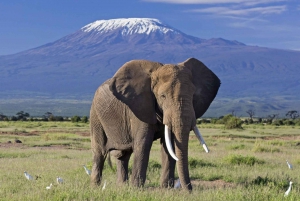 7 Days 6 Nights Wildlife and Birding Safari