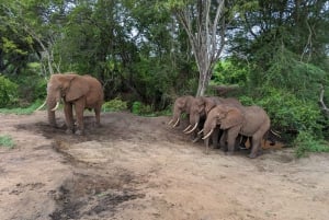 7 dages safari med det bedste fra Tanzania og Kenya